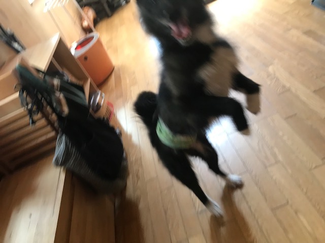 モッチャンをよろしくです!_f0242002_12521474.jpg