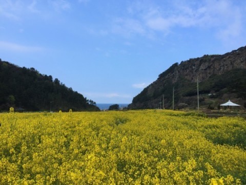 a0140305_03211792.jpg