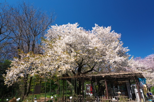 a0263109_19590604.jpg