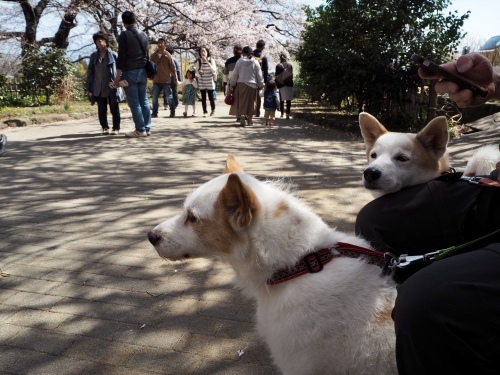 d0179410_17180477.jpeg