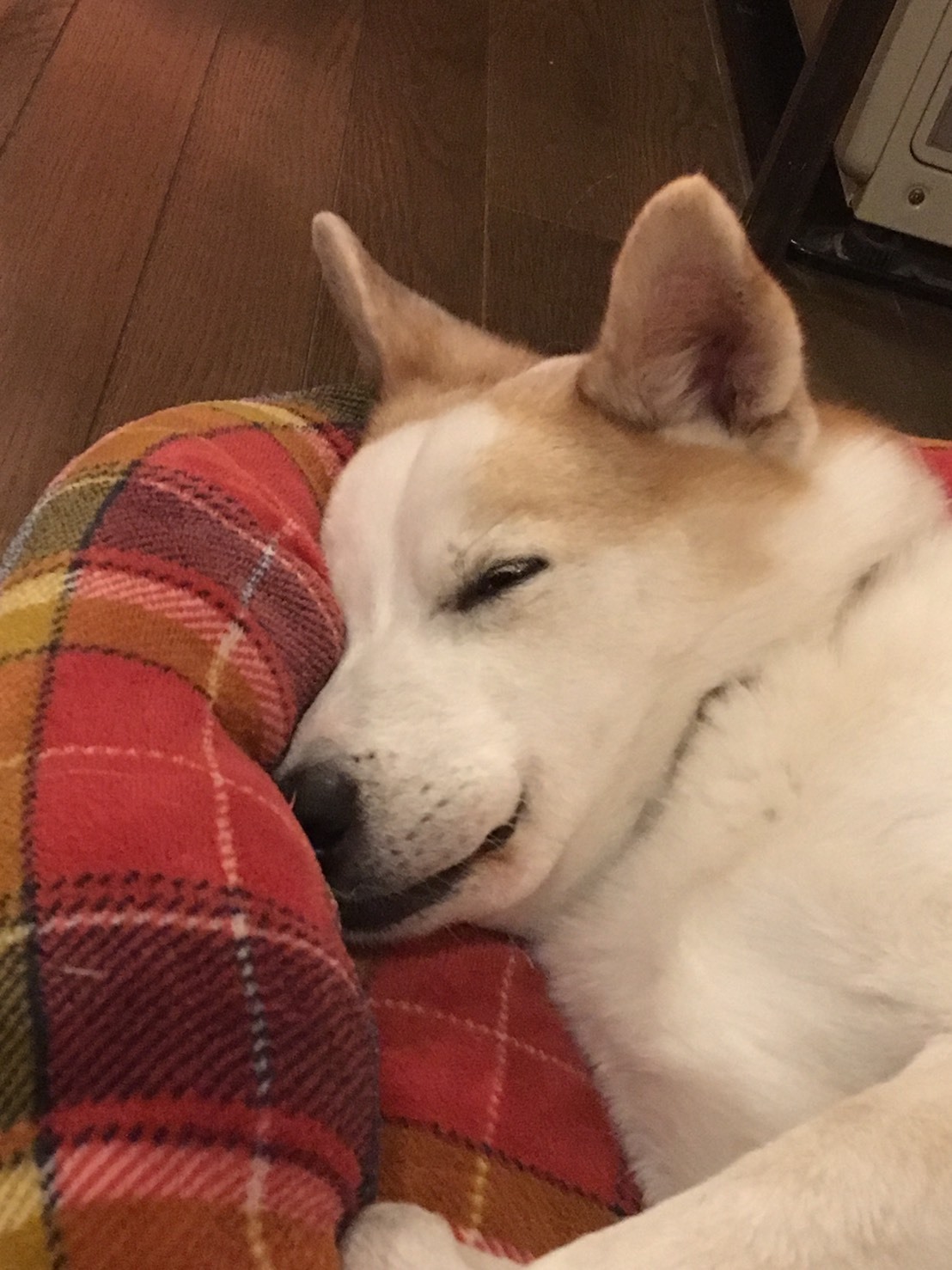 d0179410_17581872.jpeg