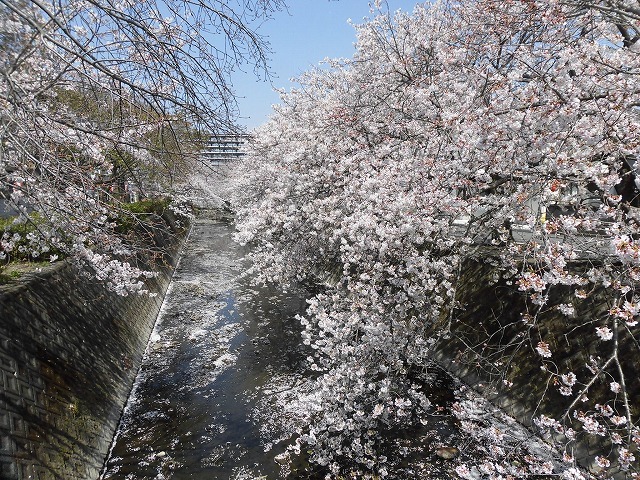 f0141310_07400358.jpg