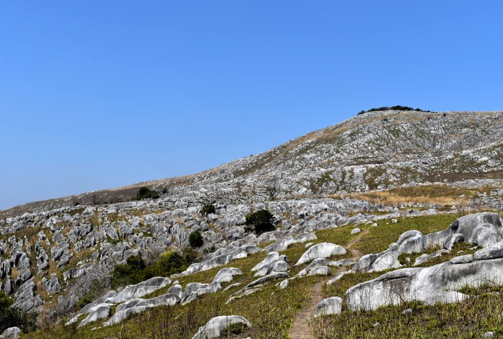 f0212511_23442444.jpg