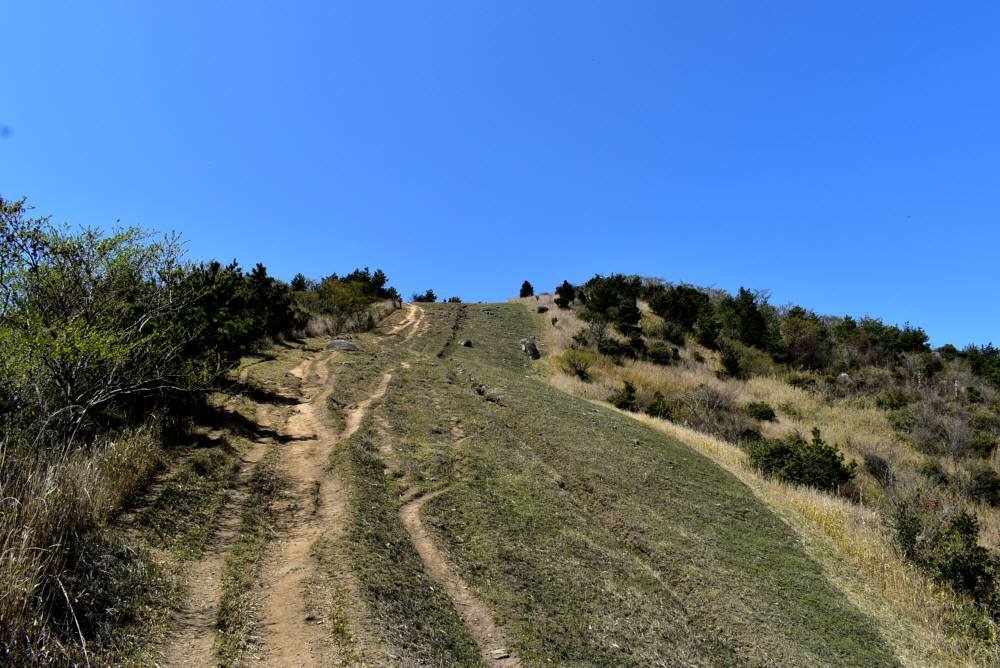 f0212511_23450497.jpg