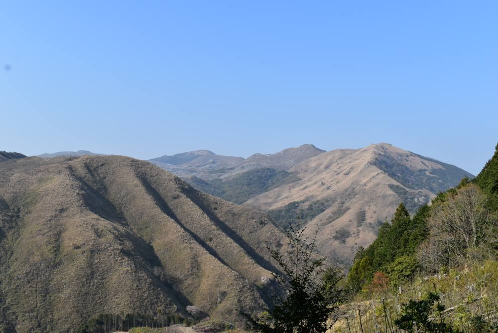 f0212511_23463102.jpg