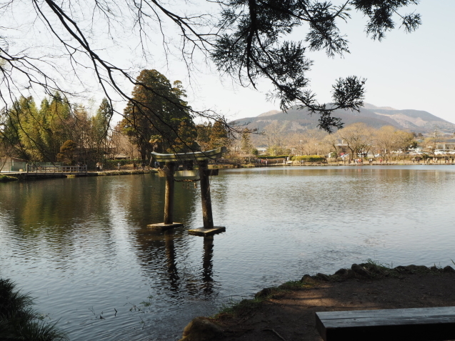 c0317915_19124498.jpeg