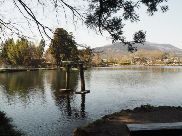 湯布院^ - ^娘と二人旅(3月)_c0317915_19124498.jpeg