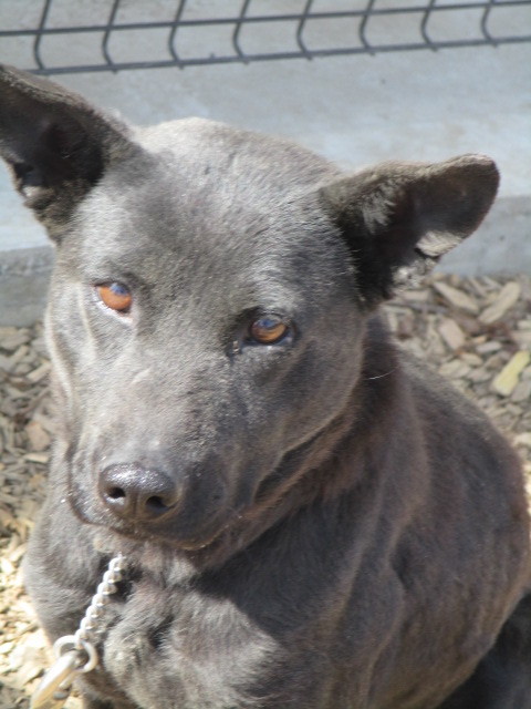 f0078320_01091420.jpg