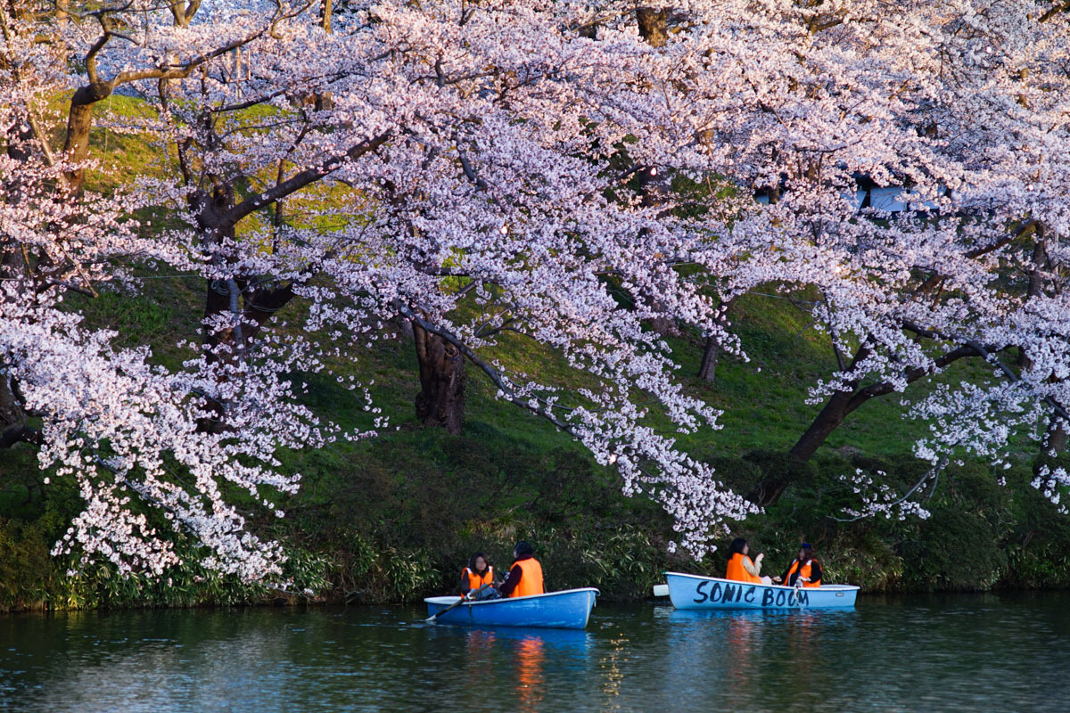 昼と夕暮れの高田公園_c0220824_17550573.jpg