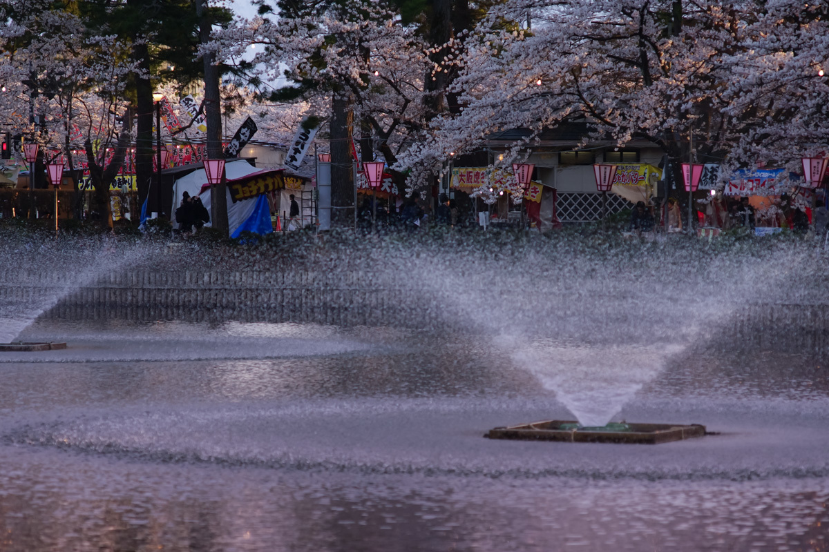 昼と夕暮れの高田公園_c0220824_17550722.jpg