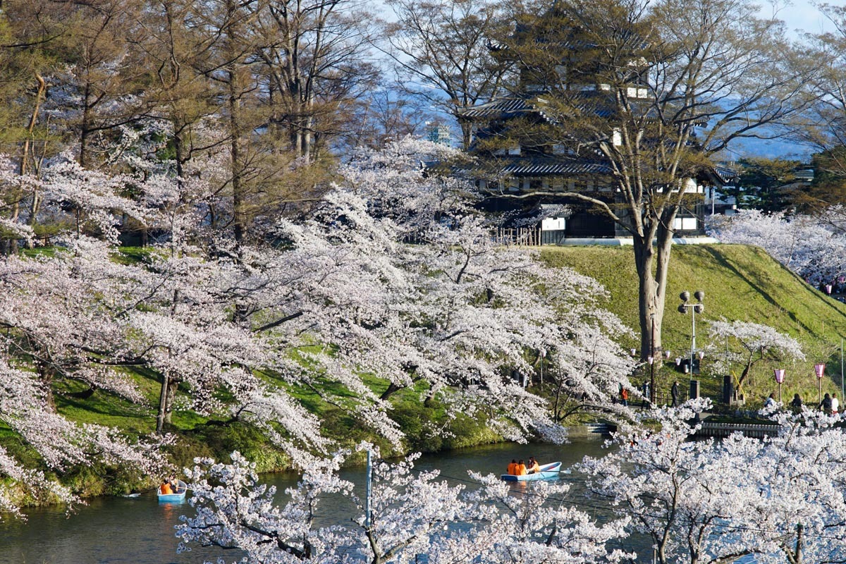 昼と夕暮れの高田公園_c0220824_17551207.jpg