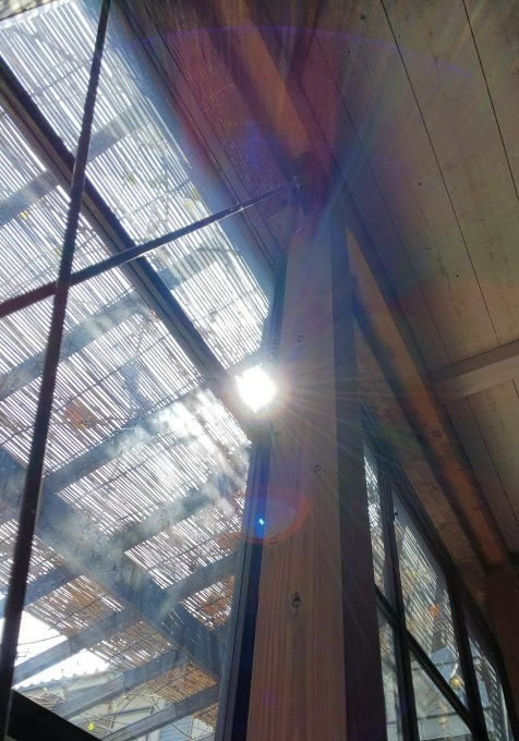f0050625_10273746.jpg