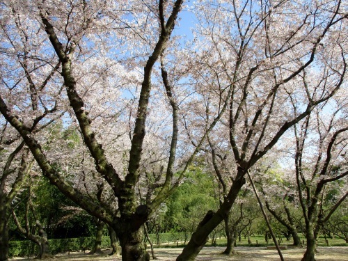 f0158625_10300448.jpg