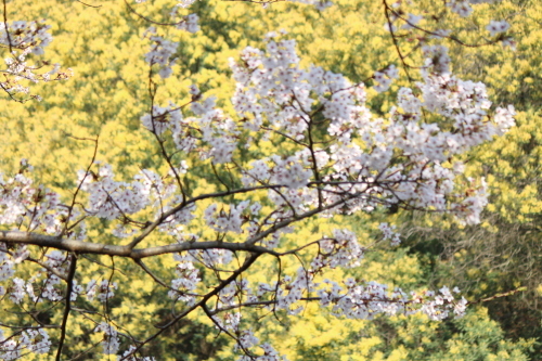a0345833_22244887.jpg