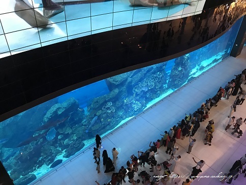世界最大級『ドバイファウンテンショー』モールには水族館やダイソー・無印も♪_f0023333_12522028.jpg