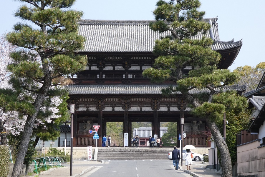 京都でお花見　➃　仁和寺・御室桜／竜安寺・襖絵_d0288144_17571739.jpg