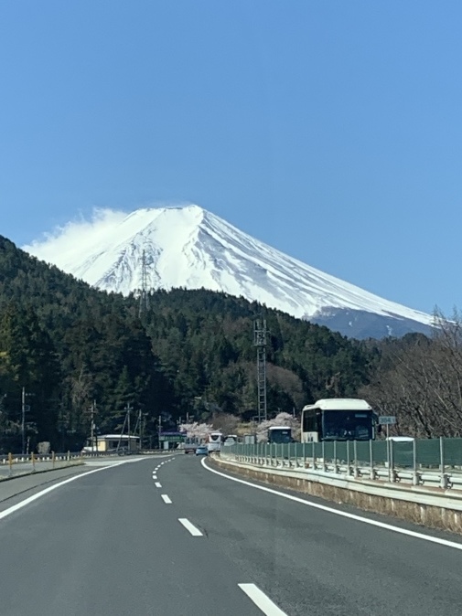 さくら 富士山-1_e0043548_23565578.jpeg