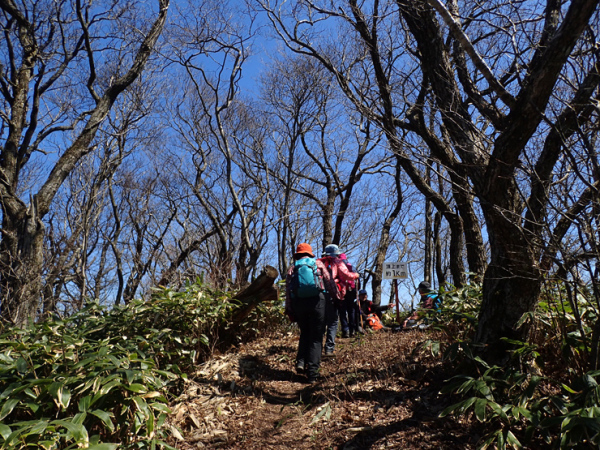 早春の大江高山④_f0214649_14285028.jpg