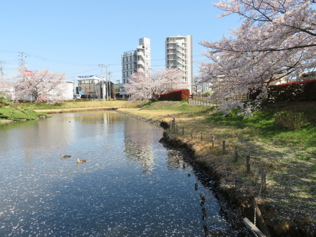 f0329849_17414884.jpg