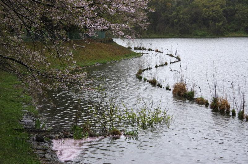 雨の日_c0238352_21333667.jpg