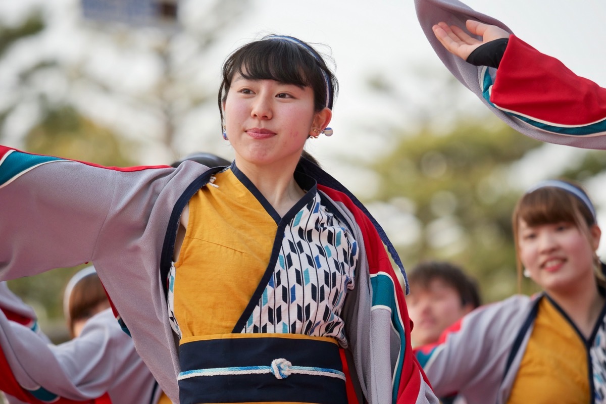 ２０１９京都さくらよさこい１日目（撮り急ぎ！その２）_a0009554_00084976.jpg