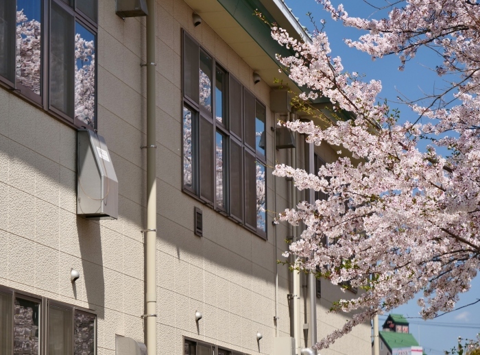 　　新一年生の入学式　　２０１９-０４-１１　００：００ 　　_b0093754_22584882.jpg
