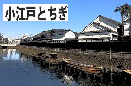 「毛野国」探訪⑥:栃木県の隠れた歴史&地下採掘場の魅力発掘(下野国編)_c0119160_15332472.png
