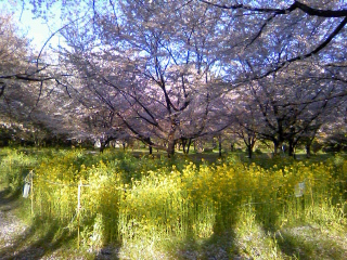 f0291565_09184751.jpg