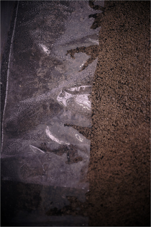 c0168172_21062958.jpg