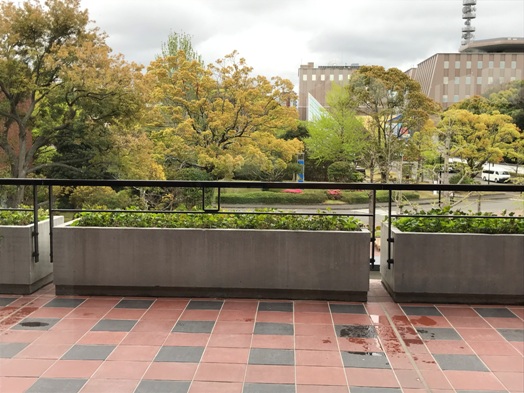 福岡市美術館(リニューアルオープン記念展)_b0214473_19261245.jpg