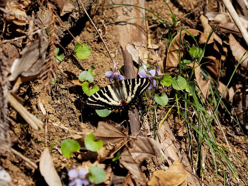f0372177_22132119.jpg