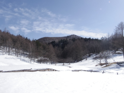 雪の入笠山頂（4/5）_c0051781_23294453.jpg