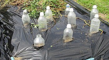 f0003283_08443247.jpg