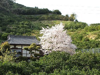 f0003283_08443611.jpg