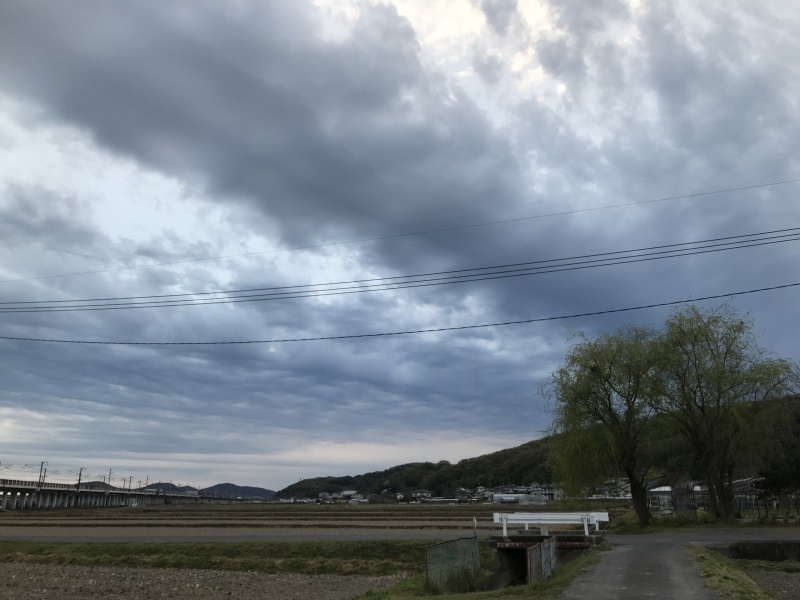 定点観察！？？「きのうのココちゃん散歩、雲が厚くて広くて・・・やっぱり雨。」編_e0359584_08040763.jpg