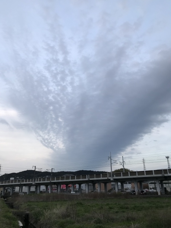 定点観察！？？「きのうのココちゃん散歩、雲が厚くて広くて・・・やっぱり雨。」編_e0359584_08040846.jpg