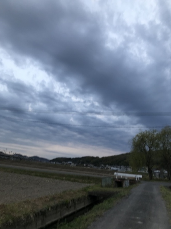 定点観察！？？「きのうのココちゃん散歩、雲が厚くて広くて・・・やっぱり雨。」編_e0359584_08040983.jpg