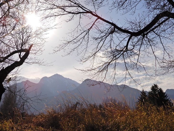 武川町F山さん邸の現場より 2_a0211886_17081700.jpg