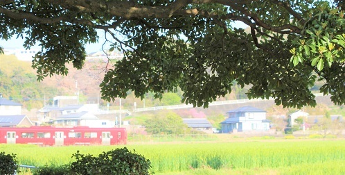 てっちゃん_a0333195_22260917.jpg