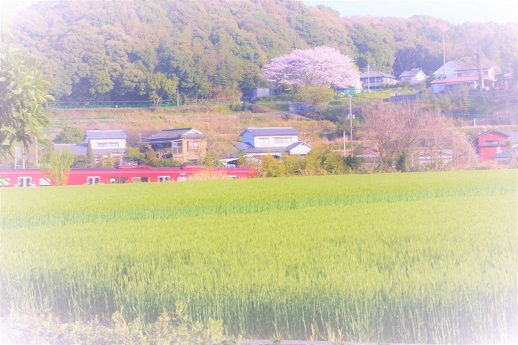 てっちゃん_a0333195_22261809.jpg