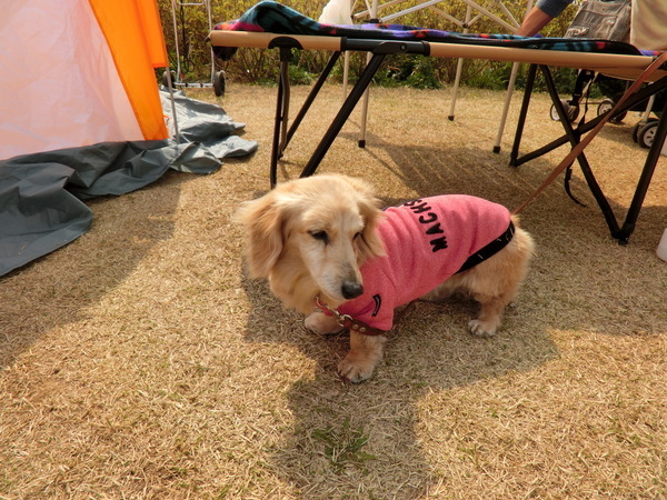 d0098295_16553207.jpg