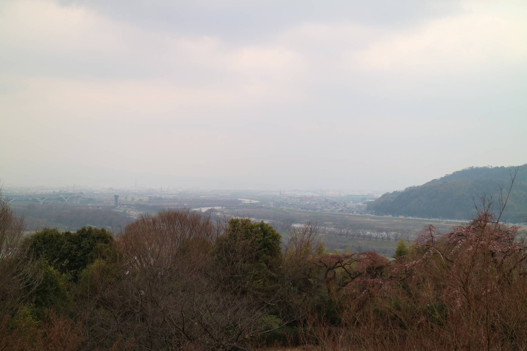 f0075595_11394568.jpg