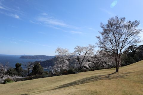 c0090198_16251460.jpg
