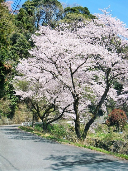 c0117898_17462459.jpg
