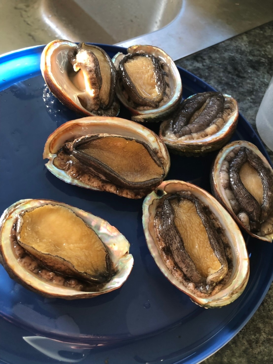 2019お正月ハワイ島!~アワビにロブスターで贅沢BBQ~_f0011498_16593503.jpg