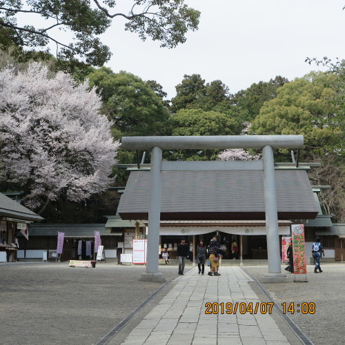 桜をめでる散策、桜川、千波湖公園の湖岸から偕楽園へ・8_c0075701_17364401.jpg