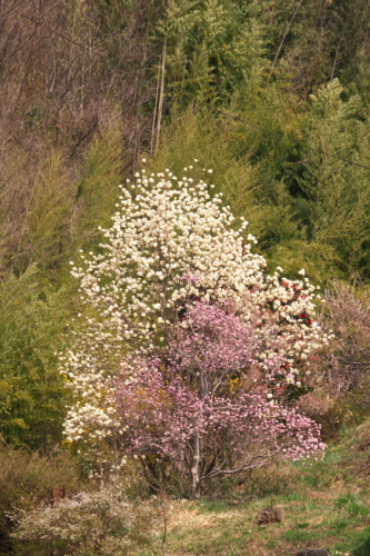 a0263109_21004921.jpg