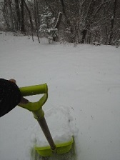 b0200310_20424431.jpg