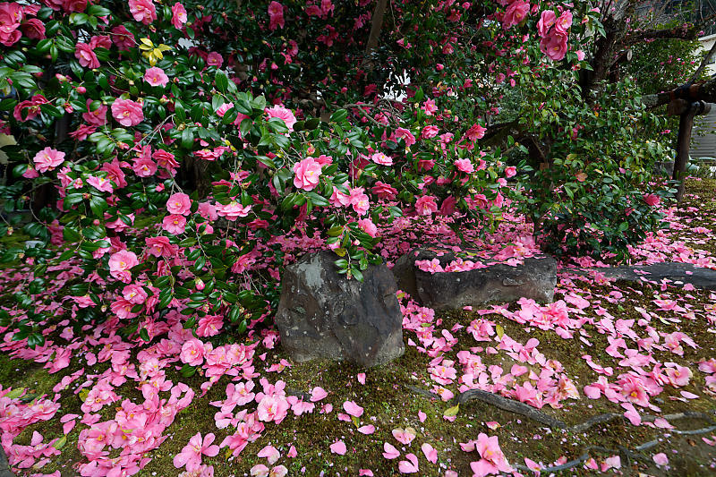 f0032011_21455385.jpg