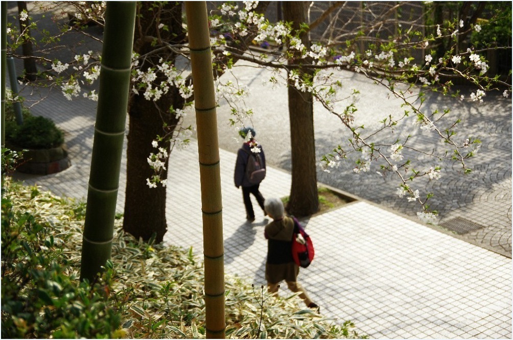 帰り道・・・_c0352813_19395685.jpg